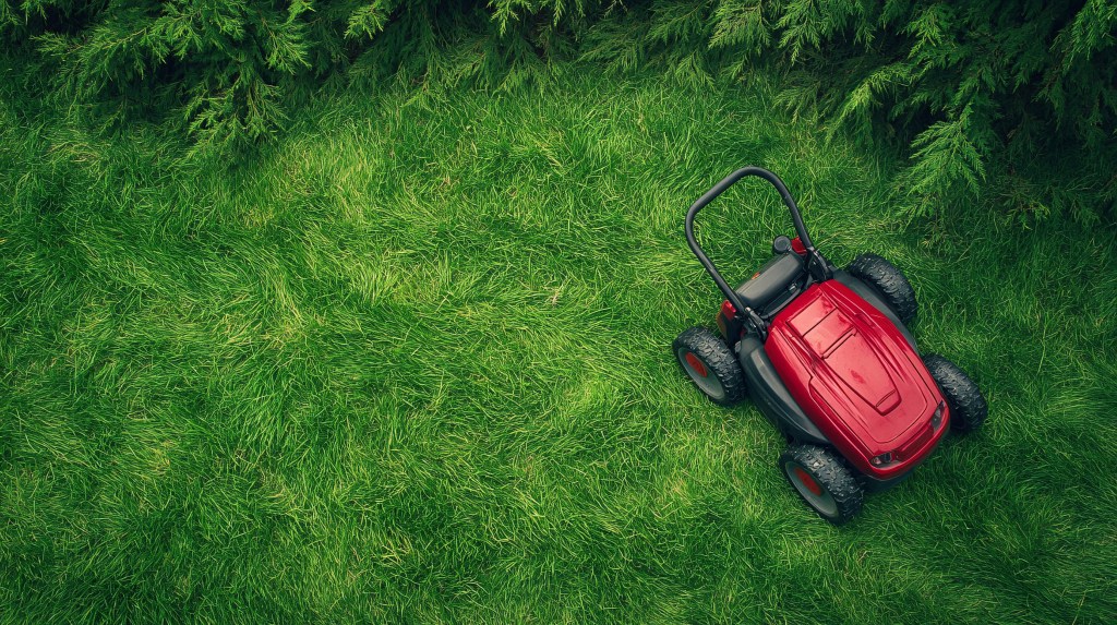 Is the Grass always Greener on the Robotic Side? 